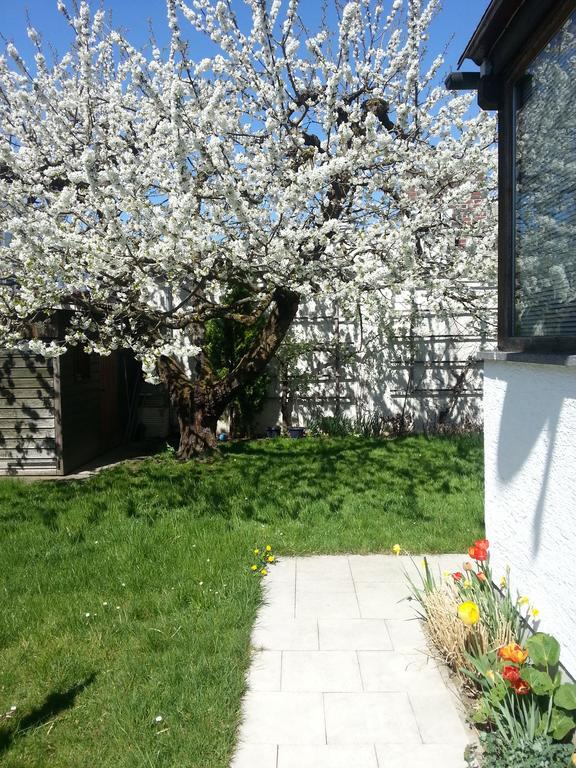 Villa-Ulm Neu-Ulm Dış mekan fotoğraf
